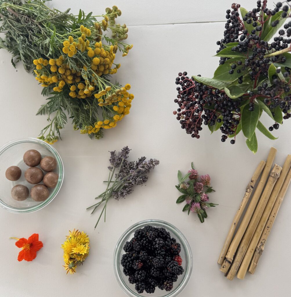 Creative Collab Naturworkshop